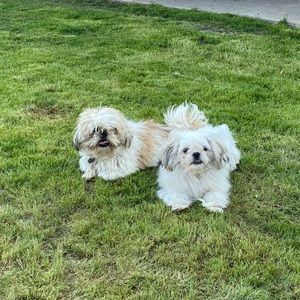 Meet your Posher, Mayra